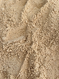 Zencefil