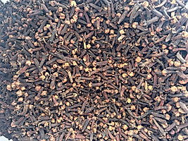 Karanfil